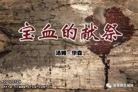 宝血的献祭(汤姆·华森)-图1