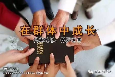 在群体中成长(提姆连恩、保罗区普)-图1