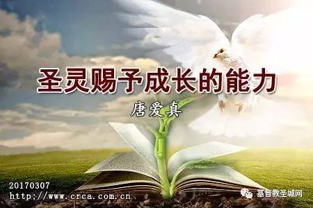圣灵赐予成长的能力(唐爱真)-图1