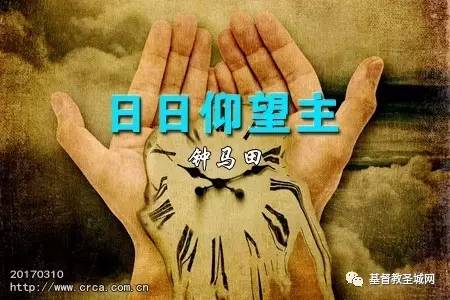 日日仰望主(钟马田)-图1