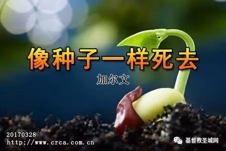 һȥӶģ-ͼ1