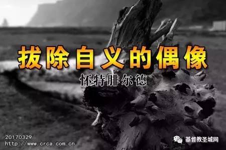 拔除自义的偶像(怀特腓尔德)-图1